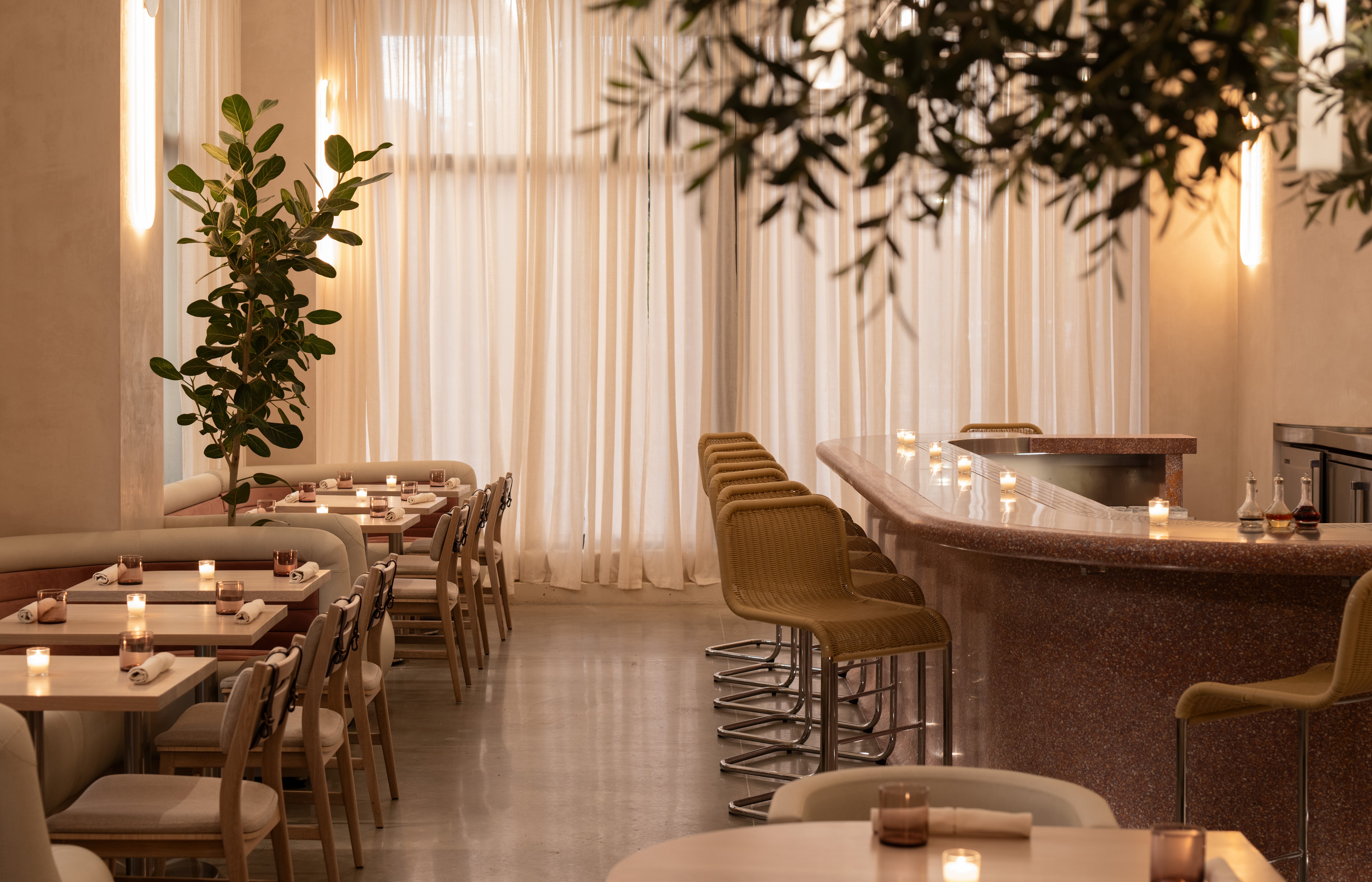 Ash — Contemporary Italian in Tampa, FL